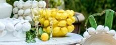 Limone collection image
