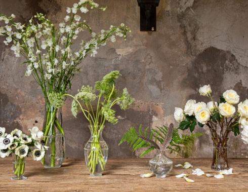 Graham Vases collection with 7 products