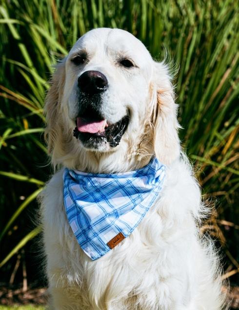 Bow Ties & Bandanas collection with 8 products