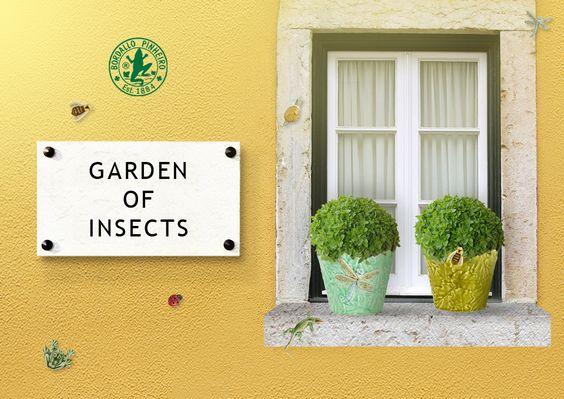 Lifestyle image 1 for Garden Of Insects