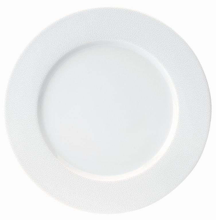 Dinner Plate Large Rim