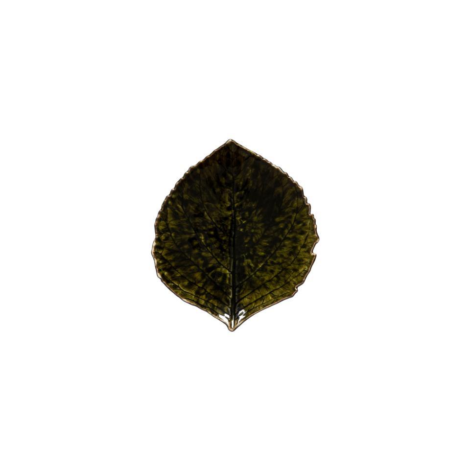 Hydrangea Leaf 7