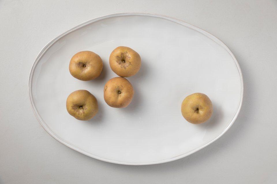 Oval Platter Large/Turkey Platter