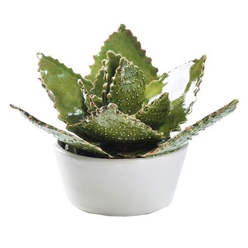 $178.00 Cactus Plant