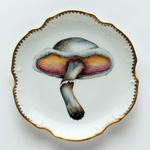 Forest Mushrooms collection with 6 products