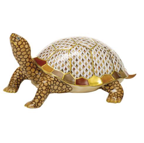 $3,475.00 Box Turtle