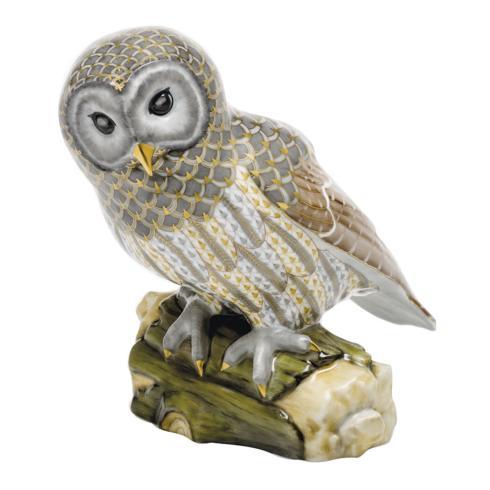 $2,995.00 Gray Barred Owl 