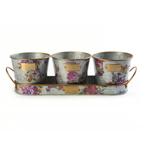 MacKenzie-Childs Flower Market Decor Galvanized Herb Pots With Tray - Set Of 3 $78.00