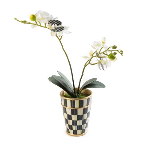 Potted Orchid - $128.00