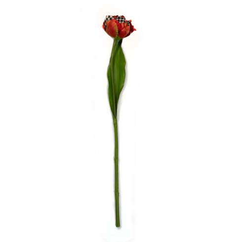 $18.00 Courtly Check Tulip - Red
