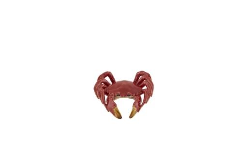 $150.00 Crab