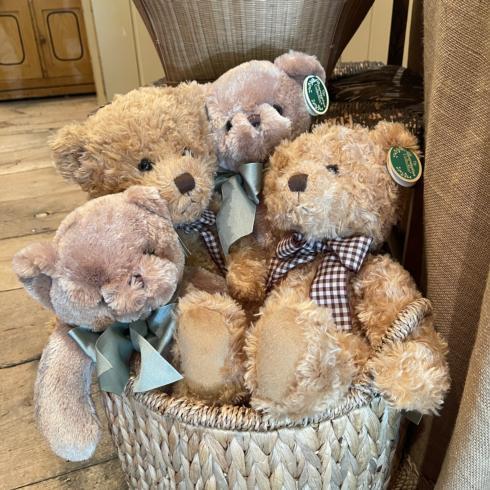 Soft Teddy Bear  - $37.50