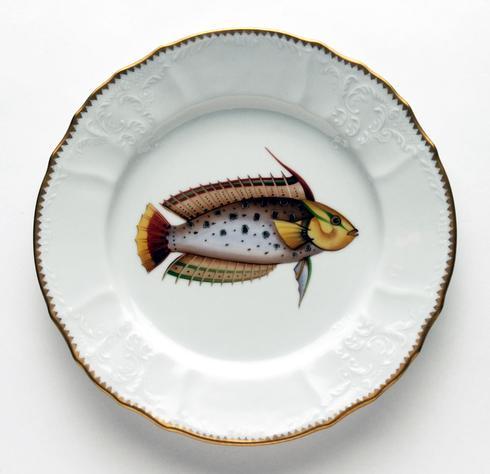 Rainbow Spotted Dinner Plate