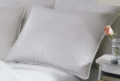 47 DownRight - Astra Down Alternative Pillow