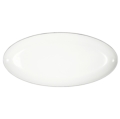 Pickard China Signature With No Monogram - Platinum White Fish Platter