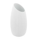 Shell White collection image
