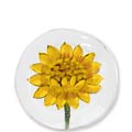VIETRI Lastra Sunflower Canape Plate