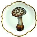 Mushroom #3 Hors D'Oeuvre Plate