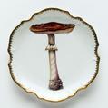 Mushroom #6 Hors D'Oeuvre Plate