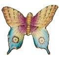 Butterfly # 8
