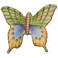 Butterfly # 9