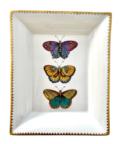 Exotic Butterflies Tray
