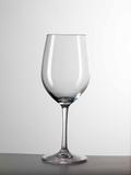 Twiga Wine Glass